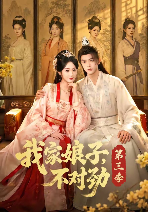 我家娘子,不对劲第三季海报