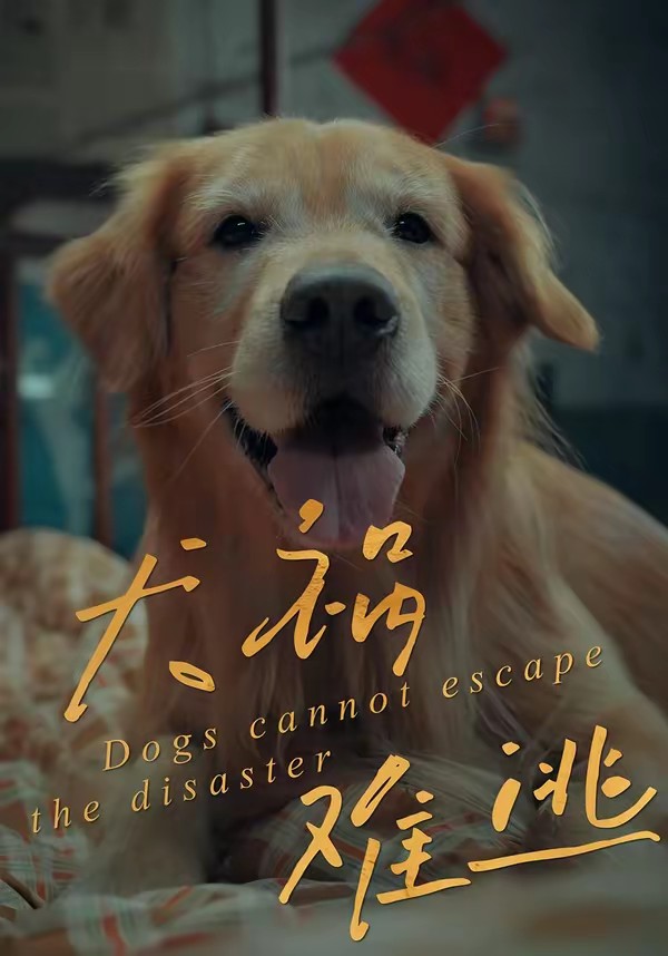 犬祸难逃海报