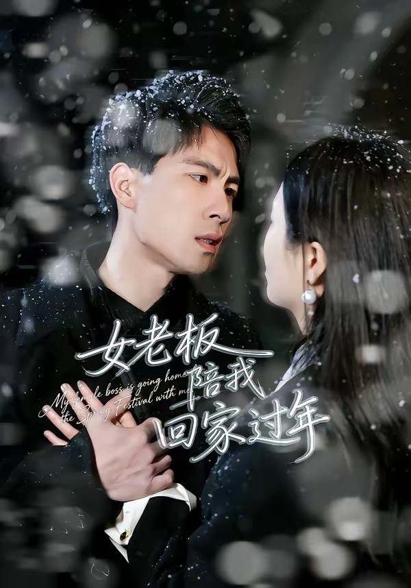 女老板陪我回家过年海报