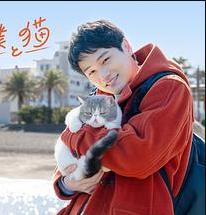 旅行和我和猫海报