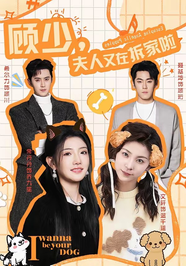 顾少，夫人又在拆家啦海报