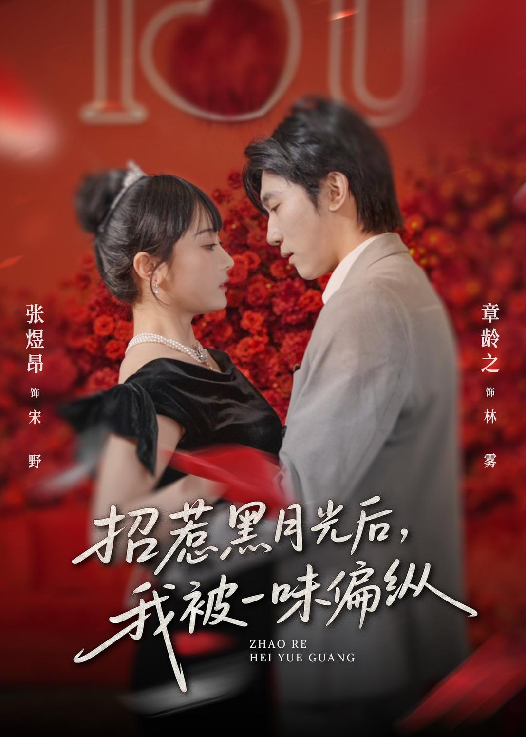招惹黑月光后，我被一味偏纵海报