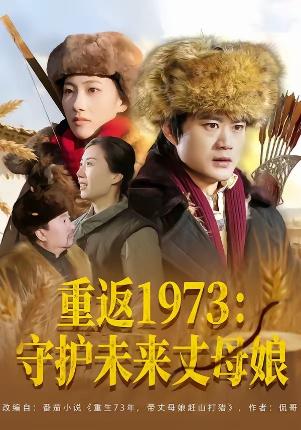 重返1973：守护未来丈母娘海报