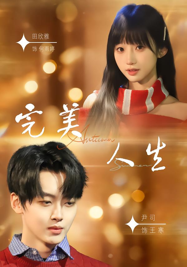 完美人生海报