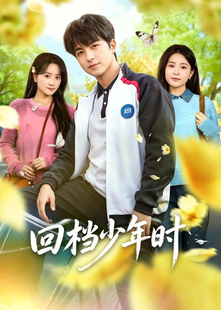 回档少年时海报
