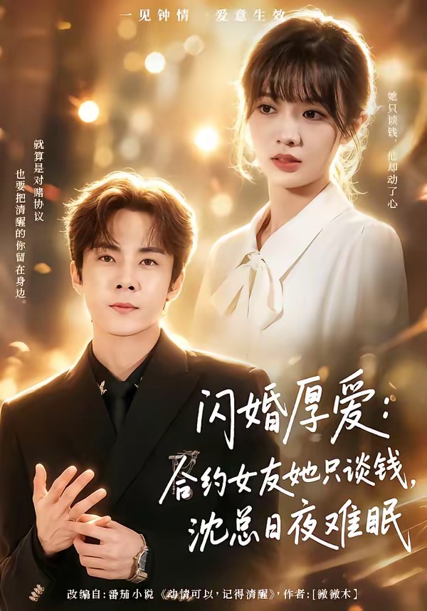 闪婚厚爱：合约女友她只谈钱，沈总日夜难眠海报