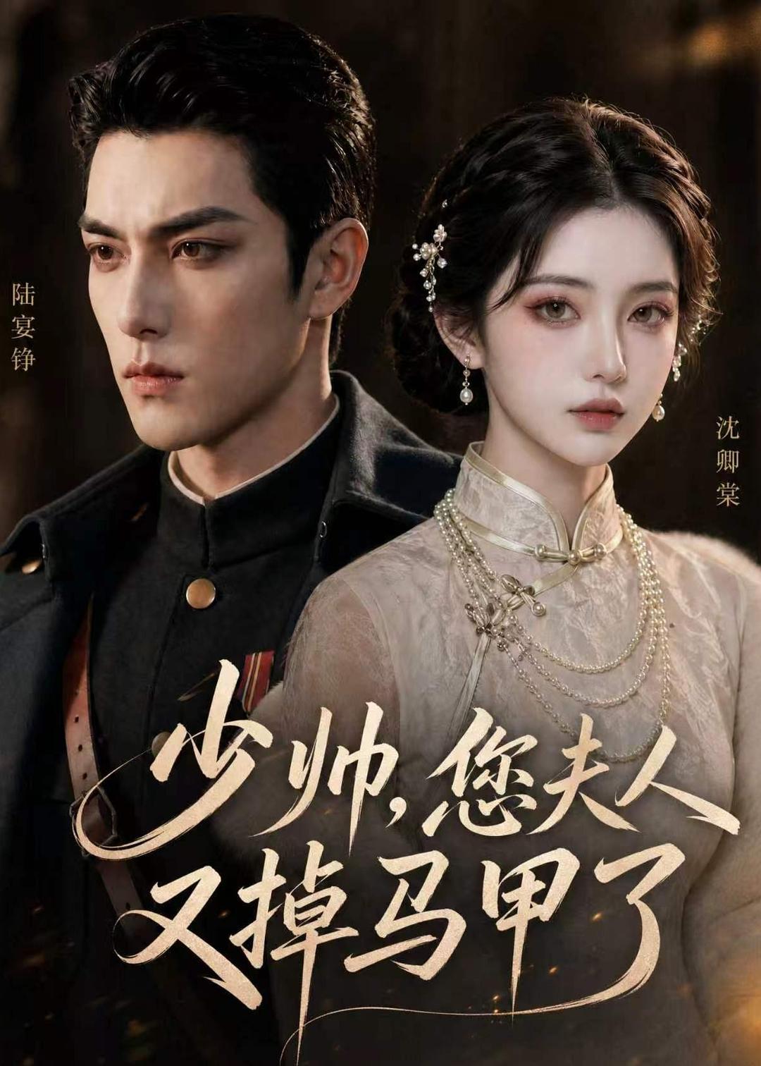少帅，您夫人又掉马甲了海报