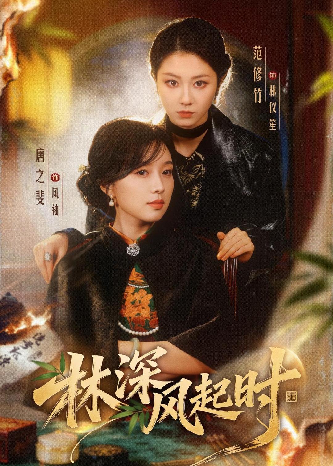 林深风起时海报
