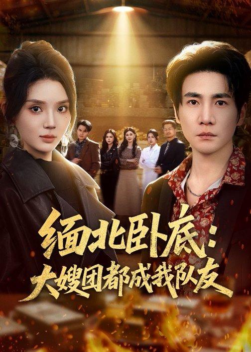 缅北卧底：大嫂团都成我队友海报