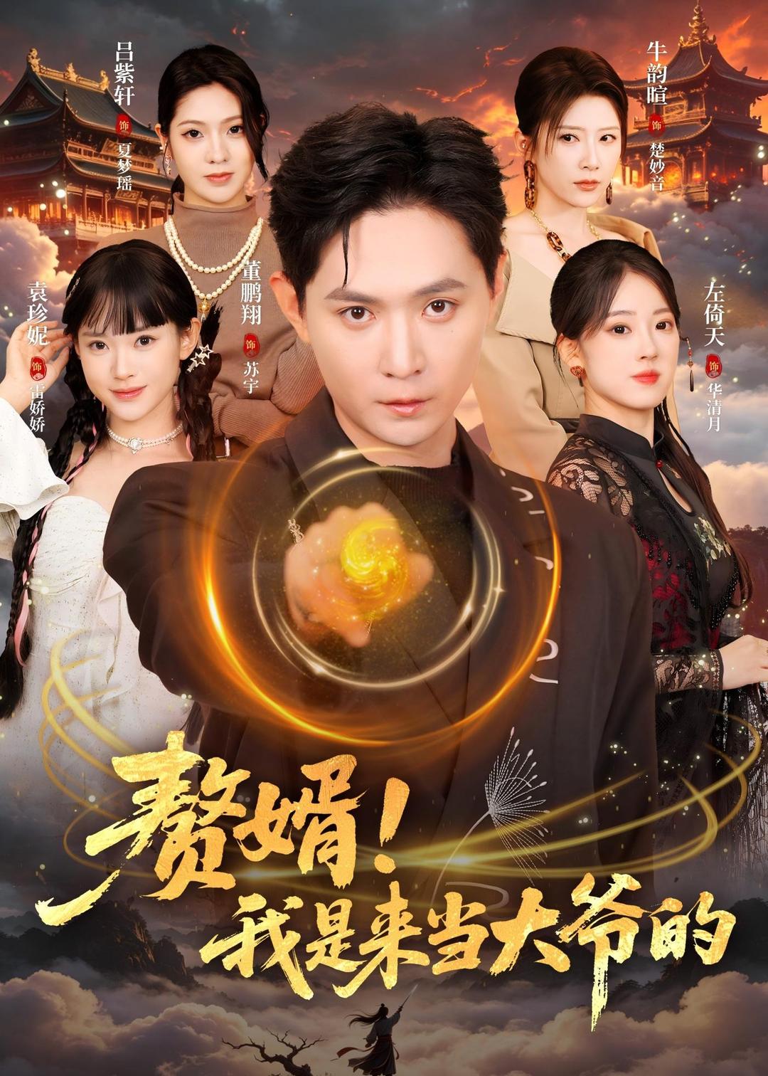 赘婿！我是来当大爷的海报