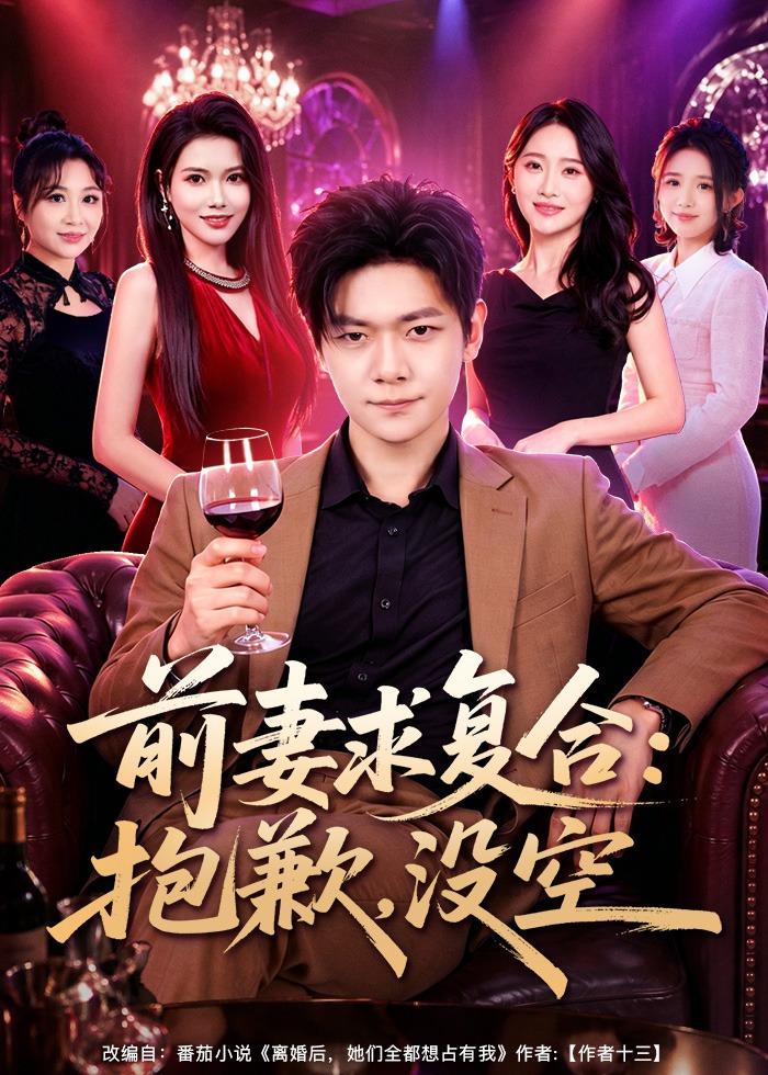 前妻要求复合：抱歉，没空海报