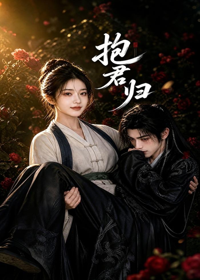 抱君归海报