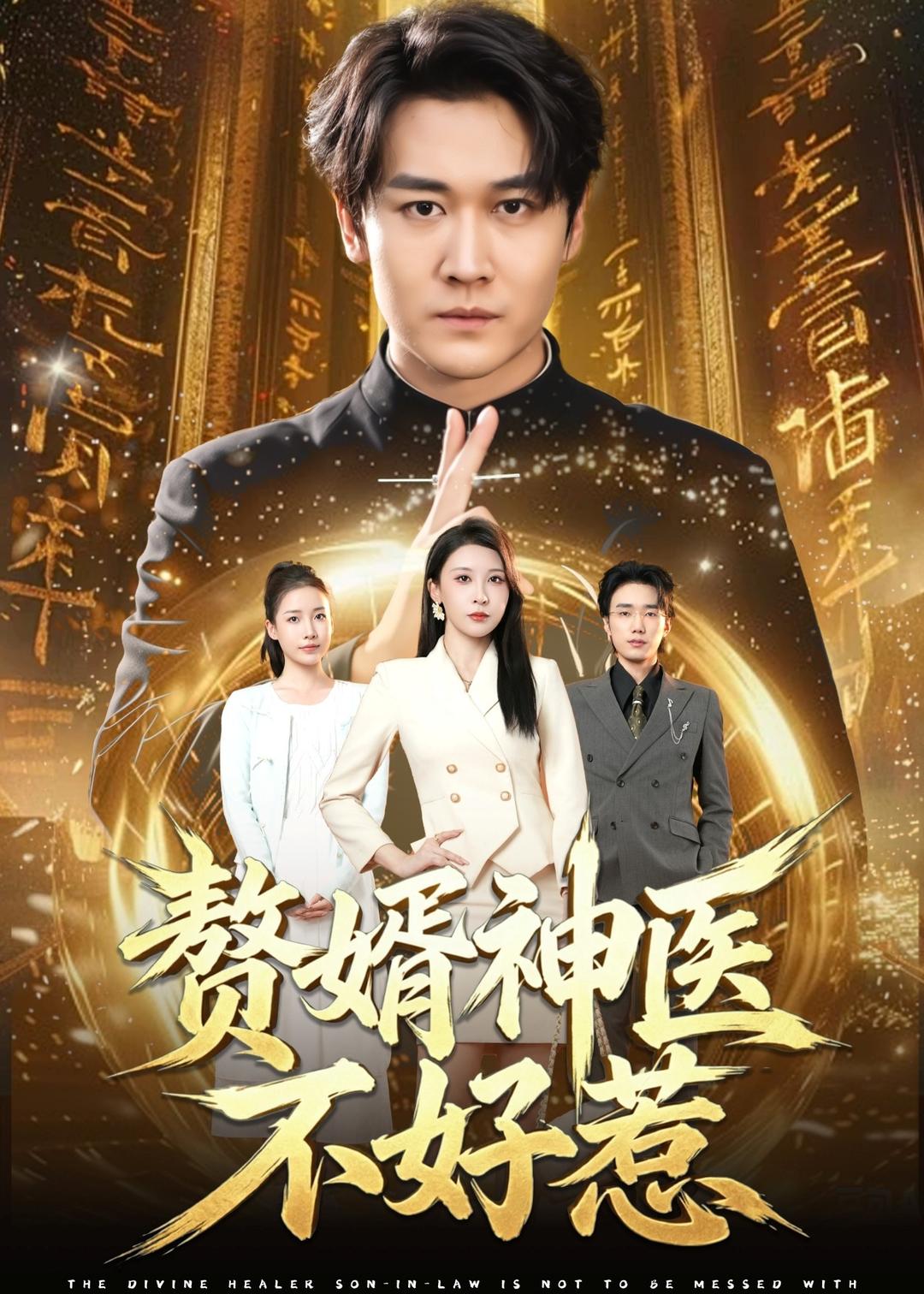赘婿神医不好惹